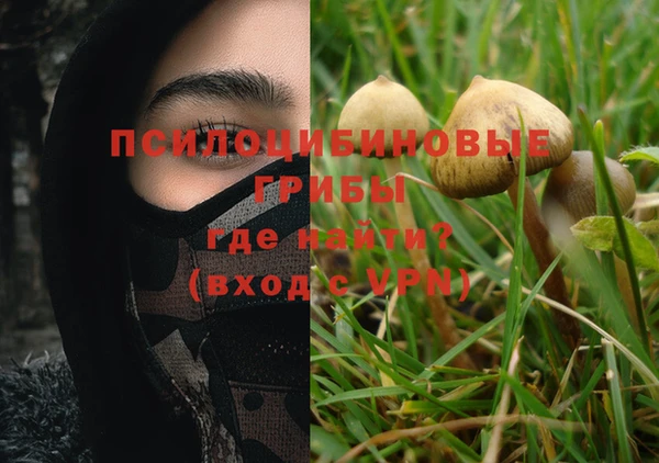 молекула духа Баксан
